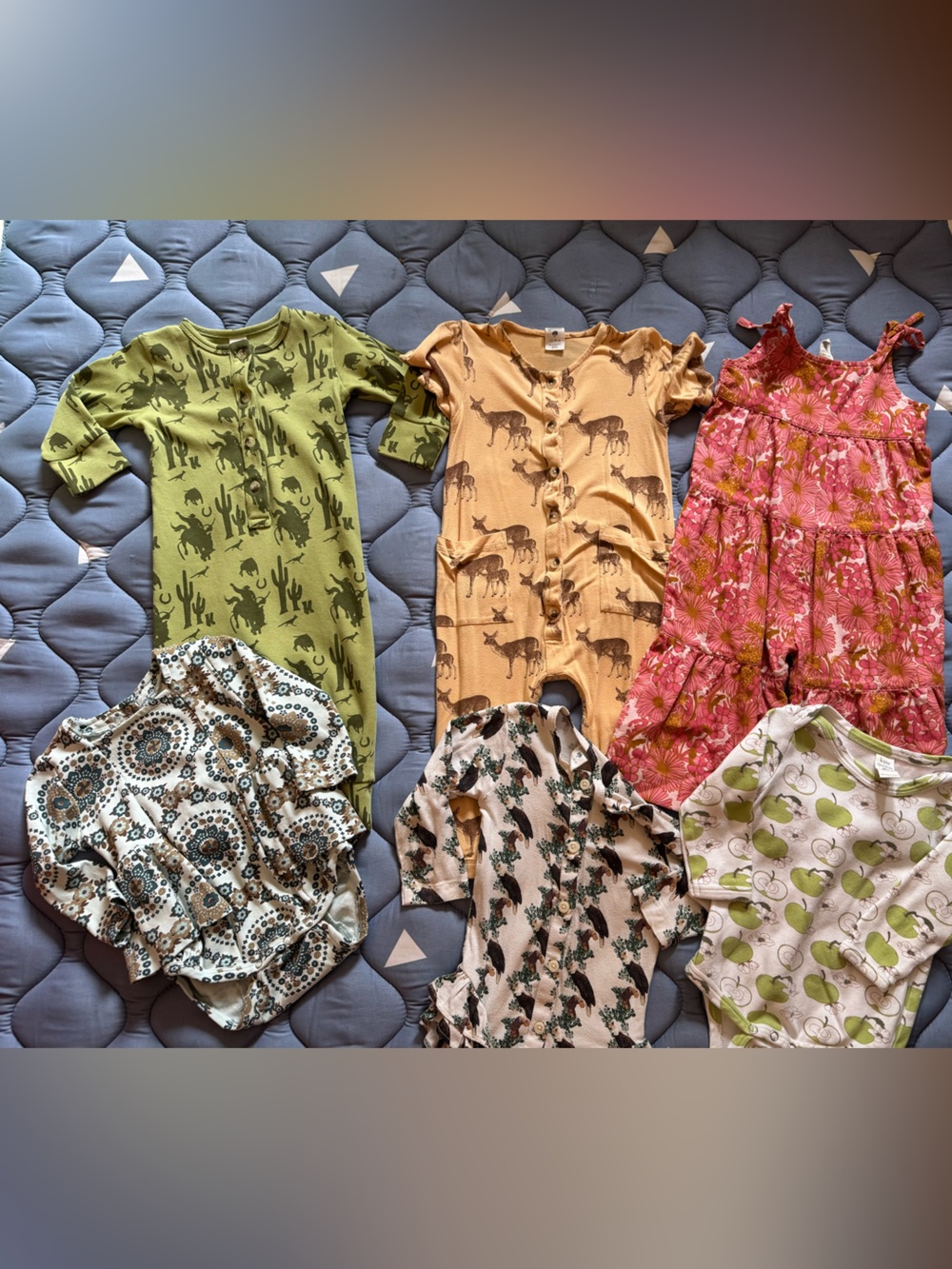 Kate Quinn 12-18M Bundle 6pc Organic Cotton Apples Deer Eagles Cactus Floral